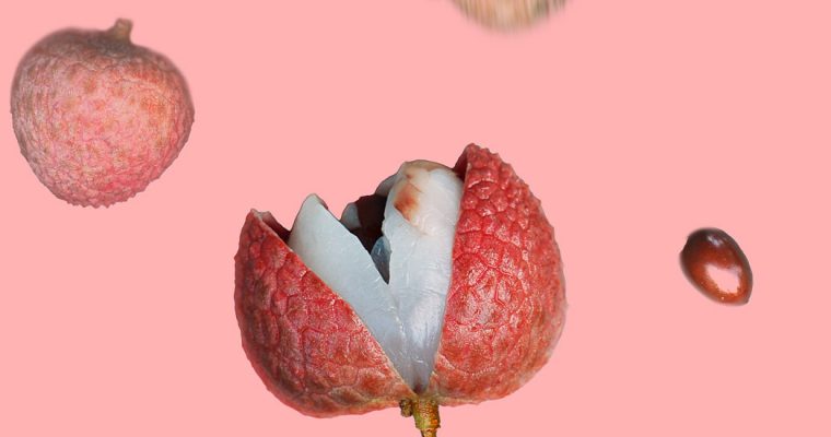 Lychee, Anyone? Lychee, Everyone!