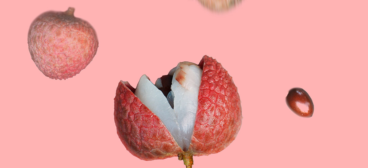 Lychee, Anyone? Lychee, Everyone!